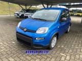 FIAT Panda PROMO FINANZ.PANDINA 1.0  Hybrid  KM  0