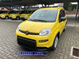 FIAT Panda PROMO FINANZ 1.0 HYBRID 5 POSTI +PACK CITY KM 0