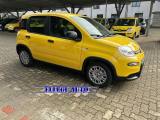 FIAT Panda 1.0 +PACK CITY Hybrid Pandina KM 0