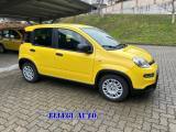 FIAT Panda 1.0 HYBRID 5 POSTI +PACK CITY KM 0