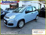 FIAT Panda 1.0 FireFly S&S Hybrid *OK NEOPATENTATI*