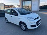 FIAT Panda 1.2 Pop - PER NEOPATENTATO -