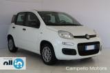 FIAT Panda Panda 1.2 69cv S&S Easy