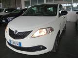 LANCIA Ypsilon 1.2 69 CV 5 porte Gold