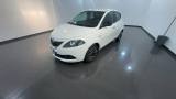 LANCIA Ypsilon 1.0 FireFly 5P S&S Hybrid GOLD PLUS #VARI COLORI