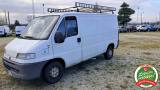 FIAT Ducato 14 2.8 diesel PC Furgone