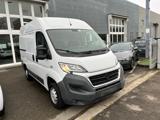 FIAT Ducato 30 2.3 MJT 130CV PC-TM L1 H2  Furgone