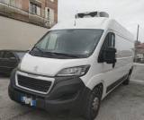 PEUGEOT Boxer 335 2.2 BlueHDi 140CV S&S L3H2 FRIGO ZANOTTI 0°C