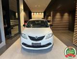 LANCIA Ypsilon 1.2 69 CV 5 porte Gold