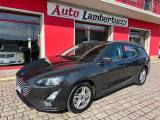 FORD Focus 1.5 EcoBlue 120 CV automatico SW Business Co-Pilot