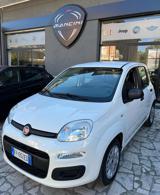 FIAT Panda 1.3 MJT 95 CV S&S Easy