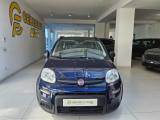 FIAT Panda 1.0 FireFly S&S Hybrid City Life da ?119,00 mensil