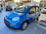 FIAT Pandina 1.0 Hybrid G.P.L._Km0