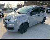 FIAT Panda 1.2 EasyPower Easy