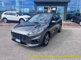 FORD Kuga 2.0 EcoBlue 120 CV aut. 2WD ST-Line