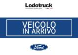 FORD Transit 310 Combi Entry