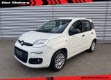 FIAT Panda 1.2 BZ OK NEOPATENTATI
