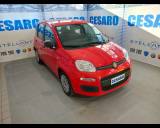 FIAT New Panda 1.0 firefly hybrid 70cv 5 posti