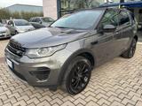 LAND ROVER Discovery Sport 2.0 TD4 150 CV Auto Business Ed. Premium SE