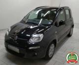 FIAT Panda 1.2 Lounge - PREZZO REALE