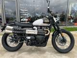 TRIUMPH Scrambler 900 Icon Limited Edition