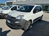 FIAT PANDA  1.3 MJT 80 CV 4X4 VAN  2 POSTI POP