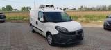 FIAT Doblo Doblò 1.3 MJT PN-TN Cargo - MODULO FRIGORIFERO