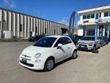 FIAT 500 *PROMO* 1.0 Hybrid Pop