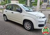 FIAT Panda 1.2 EasyPower Easy