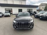 AUDI Q5 35 TDI S tronic Business Advanced
