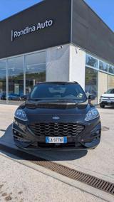 FORD Kuga 1.5 EcoBlue 120 CV aut. 2WD ST-Line