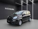 FIAT Panda 1.0 FireFly S&S Hybrid Pandina