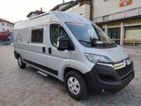 ROBETA  TUCKETT 600