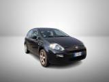 FIAT Punto 1.2 8V 5 porte Pop