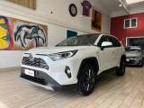TOYOTA RAV 4 MY23 RAV4 2.5 HV (218CV) E-CVT 2WD Lounge