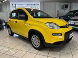 FIAT Panda PANDINA 1.0 FireFly S&S Hybrid PREZZO REALE