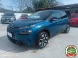CITROEN C4 Cactus BlueHDi 100 Shine