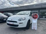 FIAT Punto 1.4 8V 5 porte Natural Power Street