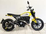 DUCATI Scrambler 800 Icon Giallo