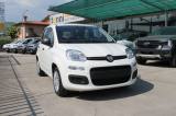 FIAT Panda My25 1.0 70cv FireFly S&S Hybrid *PackCity*5p*