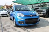 FIAT Panda My25 1.0 70cv FireFly S&S Hybrid *PackCity*5p*