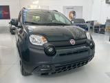 FIAT Panda 1.0 FireFly S&S Hybrid Pandina
