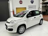 FIAT Panda 1.0 FireFly 70cv S&S Hybrid KM.ZERO