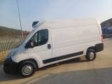 FIAT FRIGO  MENO 20 GRADI