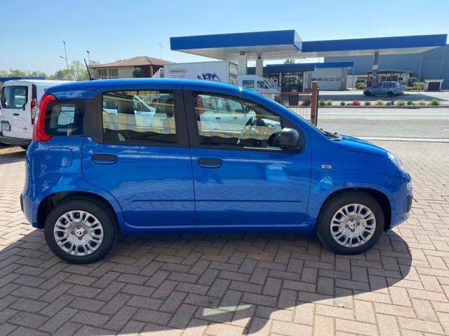 FIAT Panda - foto: 9