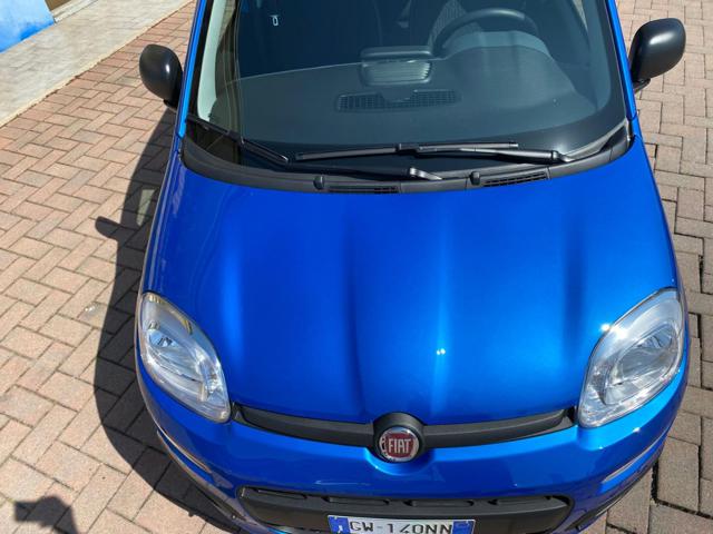 FIAT Panda - foto: 6