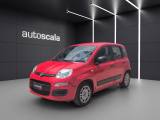 FIAT Panda 1.2 EasyPower Easy