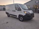 FIAT DUCATO  30 2.3 MJT 120CV PC-TN
