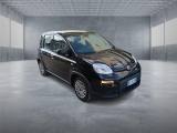 FIAT Panda 3ª serie  1.0 FireFly S&S Hybrid