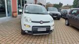 FIAT Panda 1.3 MJT 95 CV S&S 4x4  Euro 5B